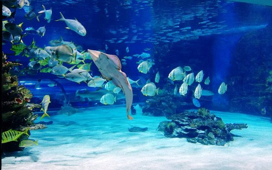 Tropicarium-Budapest